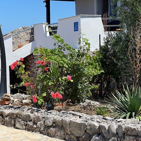 Holiday House Rusticana Sali, Dugi Otok Near Np Kornati Εξωτερικό φωτογραφία