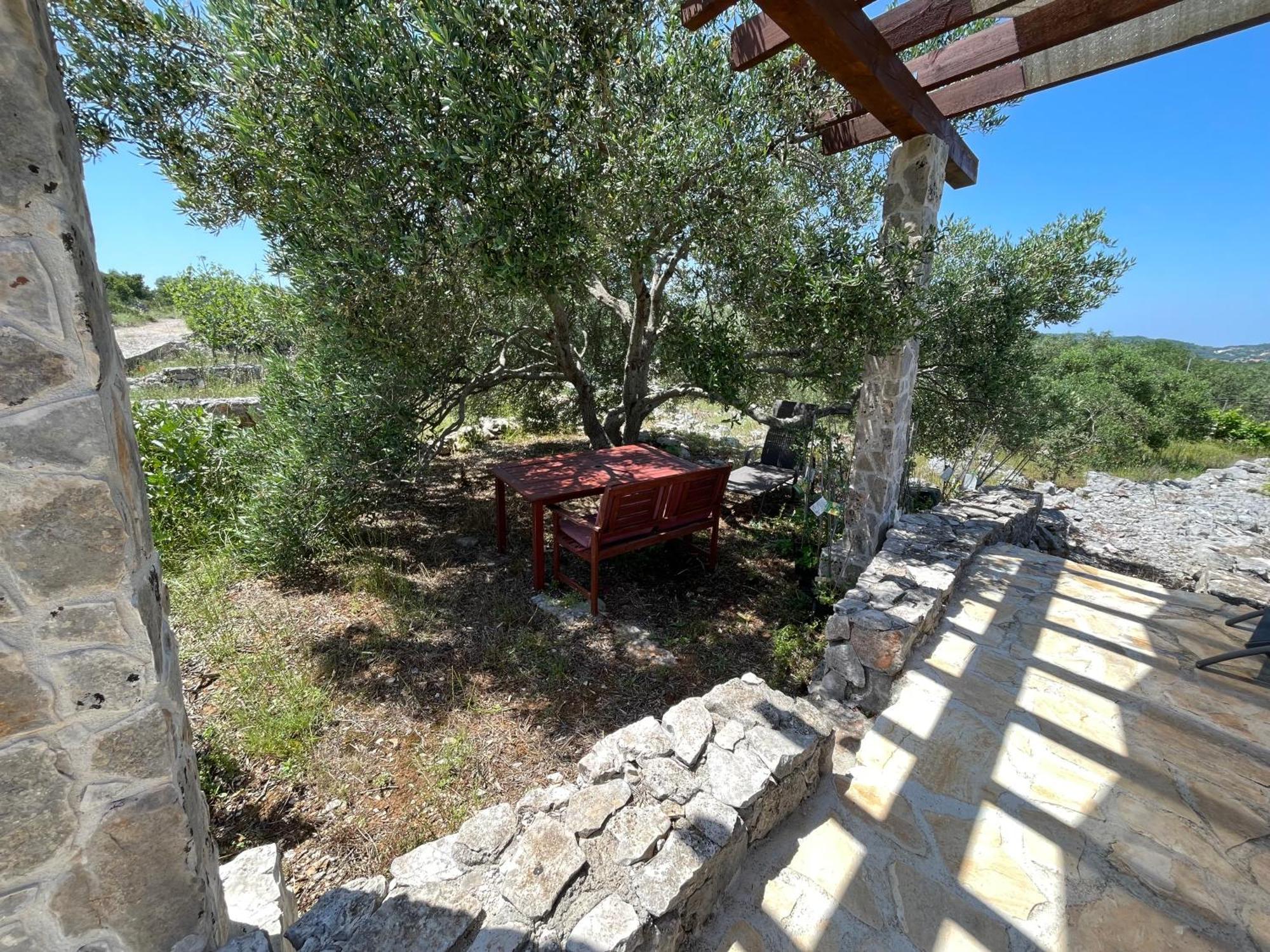 Holiday House Rusticana Sali, Dugi Otok Near Np Kornati Εξωτερικό φωτογραφία